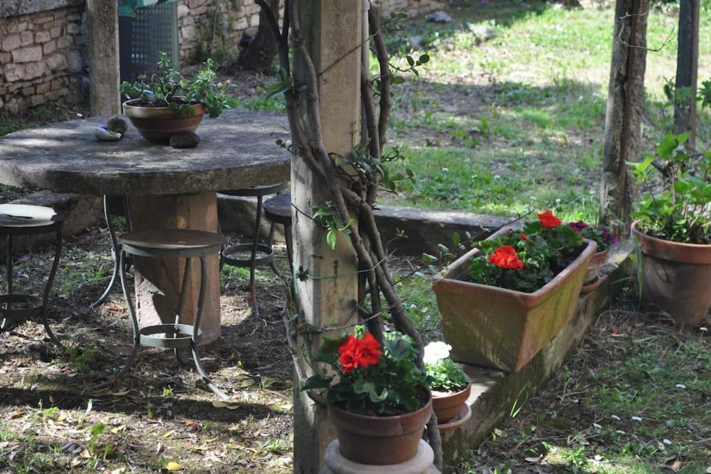 Appartamento Il Profumo del Lauro Perugia Esterno foto